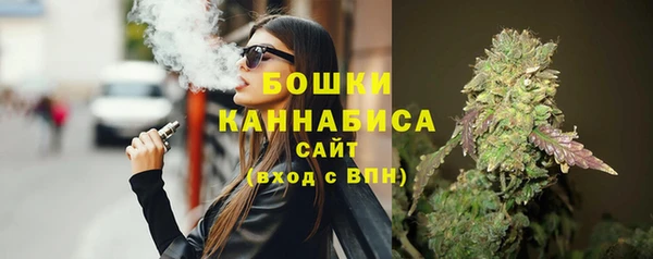 прущие грибы Балабаново