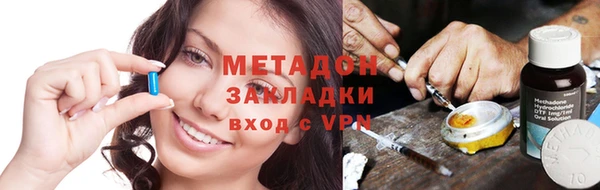 прущие грибы Балабаново