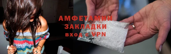 прущие грибы Балабаново