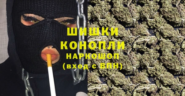 прущие грибы Балабаново