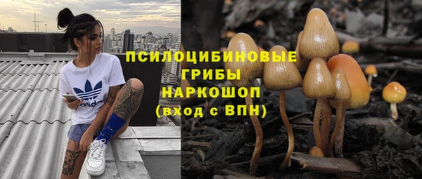 прущие грибы Балабаново