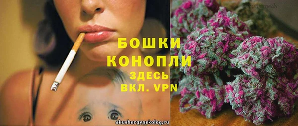 прущие грибы Балабаново
