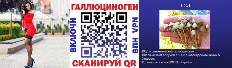 Псилоцибиновые грибы GOLDEN TEACHER  Купить где  Енисейск 